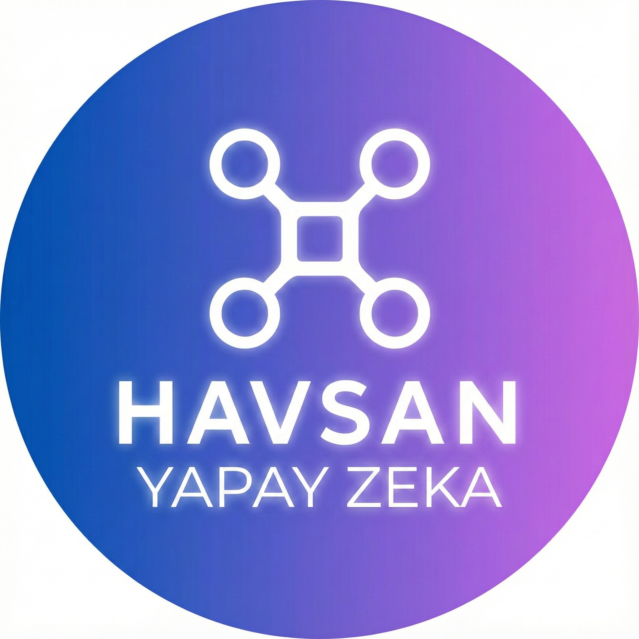 HAVSAN Logo